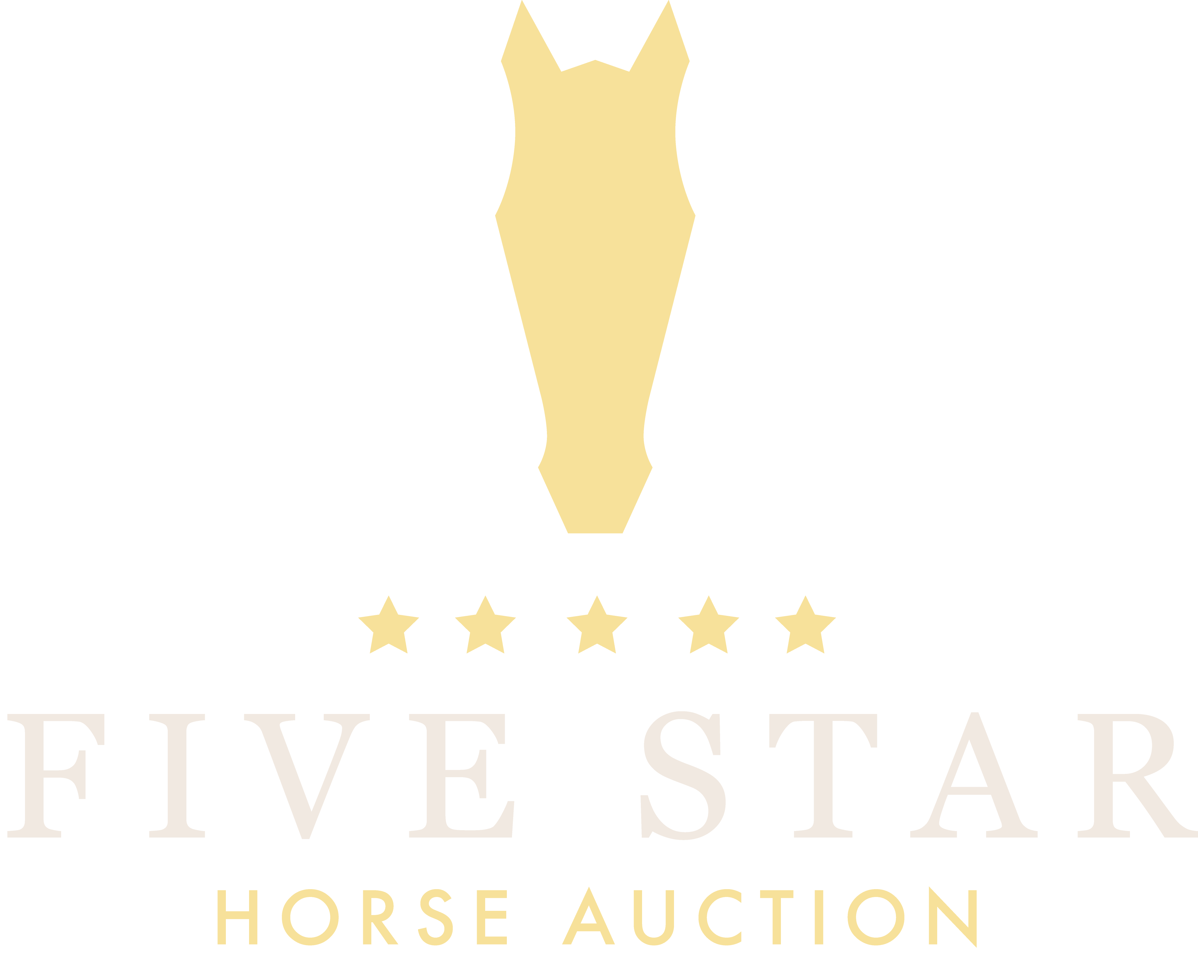 5 STAR LOGO 6 white